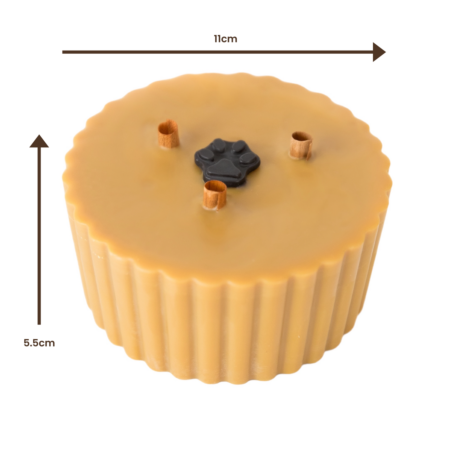 Candles To Action!® Starter Bundle