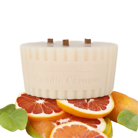The Candle Carousel Solution Candles®️ Study Aromatherapy 100% Pure Essential Oils Candle Refill, Refillable Sustainable Vegan and Cruelty Free, Front with Ingredient Demo Product View, Buy Today and Pair with our Refillable Dishes to Refill Time and Time again!