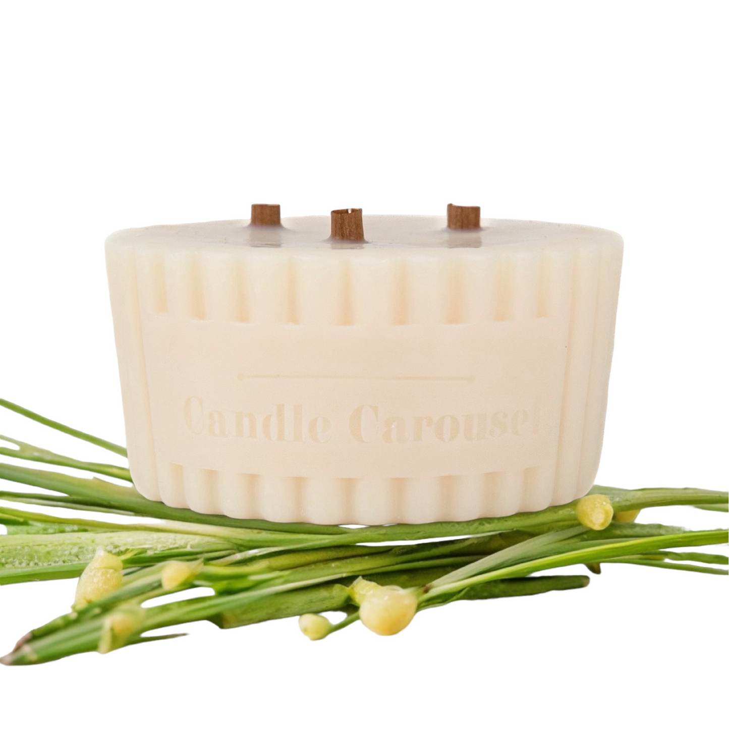 The Candle Carousel Solution Candles®️ Insect Repellent Repel Aromatherapy 100% Pure Essential Oils Candle Refill, Refillable Sustainable Vegan and Cruelty Free, Front with Ingredient Demo Product View, Buy Today and Pair with our Refillable Dishes to Refill Time and Time again!
