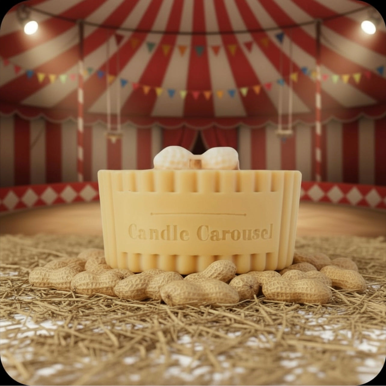 Circus Monkey Nuts ~ Philanthropy Candle Refill