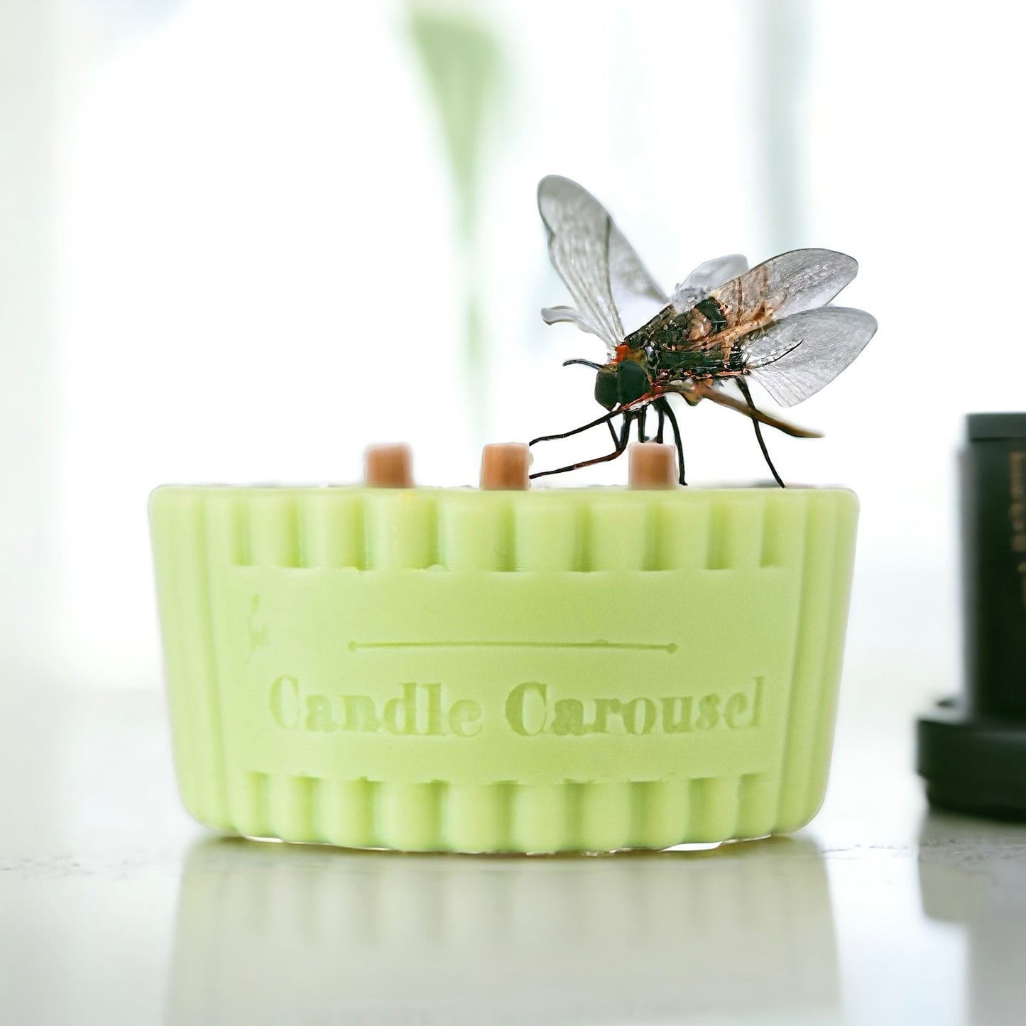 The Candle Carousel Solution Candles®️ Sustainable Vegan and Cruelty Free Brand Company, Insect Repellent Repel Refill. Side View with Demonstrative Imagery. Buy Today and Pair with our Refillable Dishes to Refill Time and Time again!