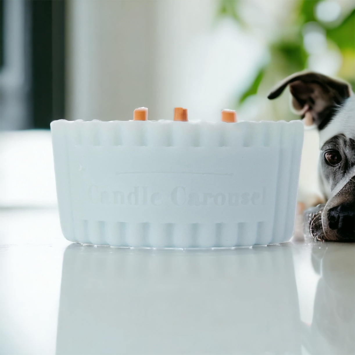 The Candle Carousel Solution Candles®️ Sustainable Vegan and Cruelty Free Brand Company, Fresh and Clean Odour Eliminator Refill. Side View with Emotive Demonstrative Imagery. Buy Today and Pair with our Refillable Dishes to Refill Time and Time again!